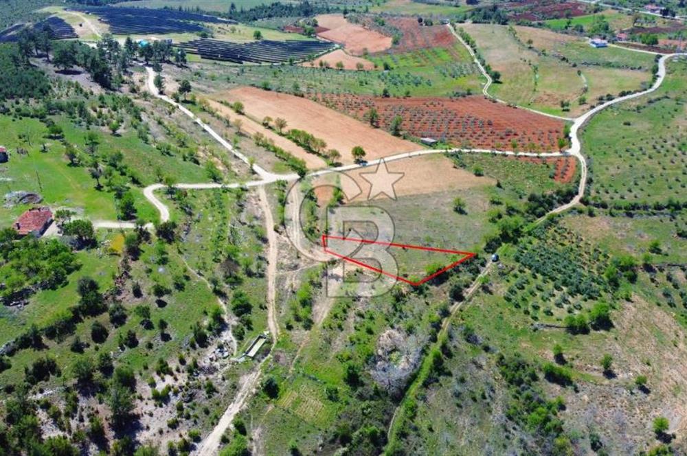 Günlüce Köyü'nde Yola Sıfır, Elektrik Sorunu Olmayan 1358 m² Satılık Tarla!