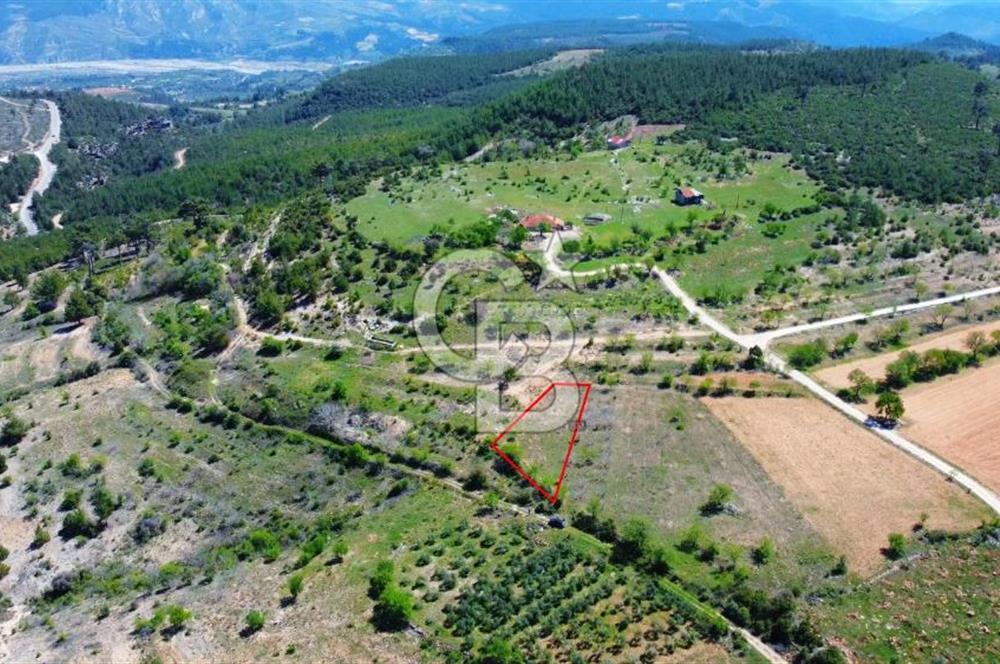 Günlüce Köyü'nde Yola Sıfır, Elektrik Sorunu Olmayan 1358 m² Satılık Tarla!