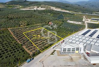 ENGÜRÜCÜK'TE TİCARİ İMARLI SATILIK ARSA