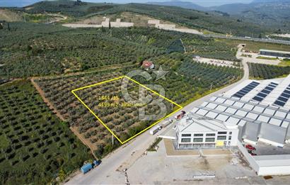 ENGÜRÜCÜK'TE TİCARİ İMARLI SATILIK ARSA