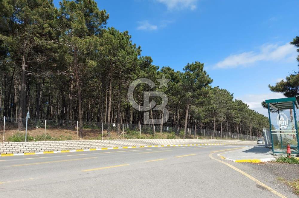 Pendik Yayalar Ertuğrul Gazi Mahallesin'de Satılık 190m2 Arsa