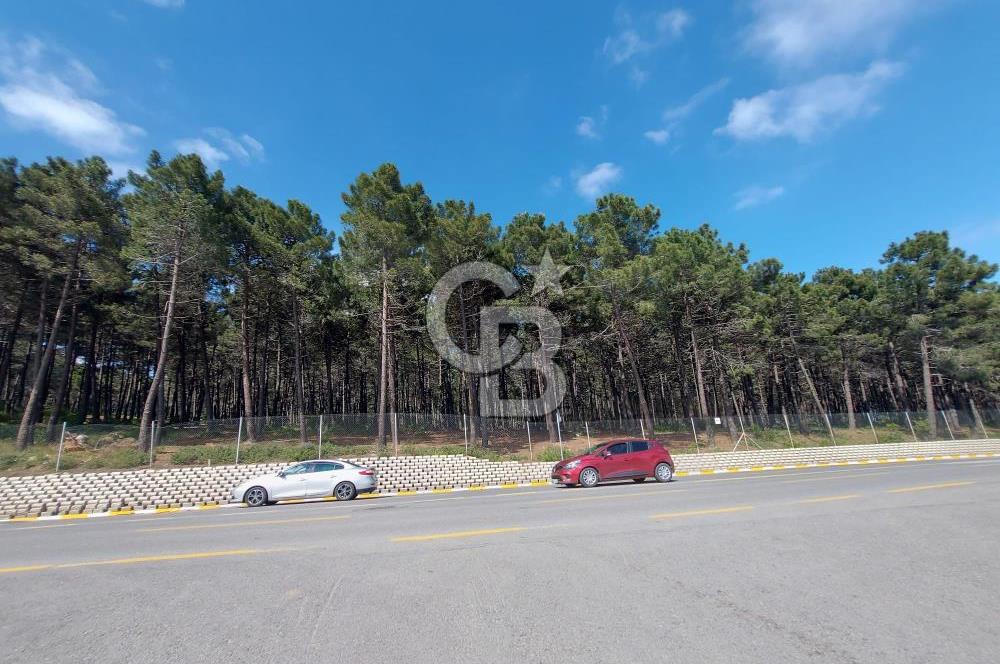 Pendik Yayalar Ertuğrul Gazi Mahallesin'de Satılık 190m2 Arsa