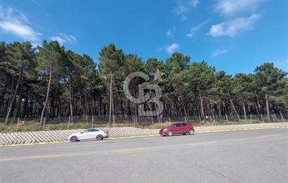 Pendik Yayalar Ertuğrul Gazi Mahallesin'de Satılık 190m2 Arsa