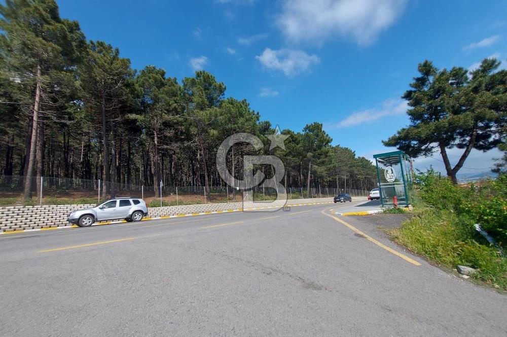 Pendik Yayalar Ertuğrul Gazi Mahallesin'de Satılık 190m2 Arsa
