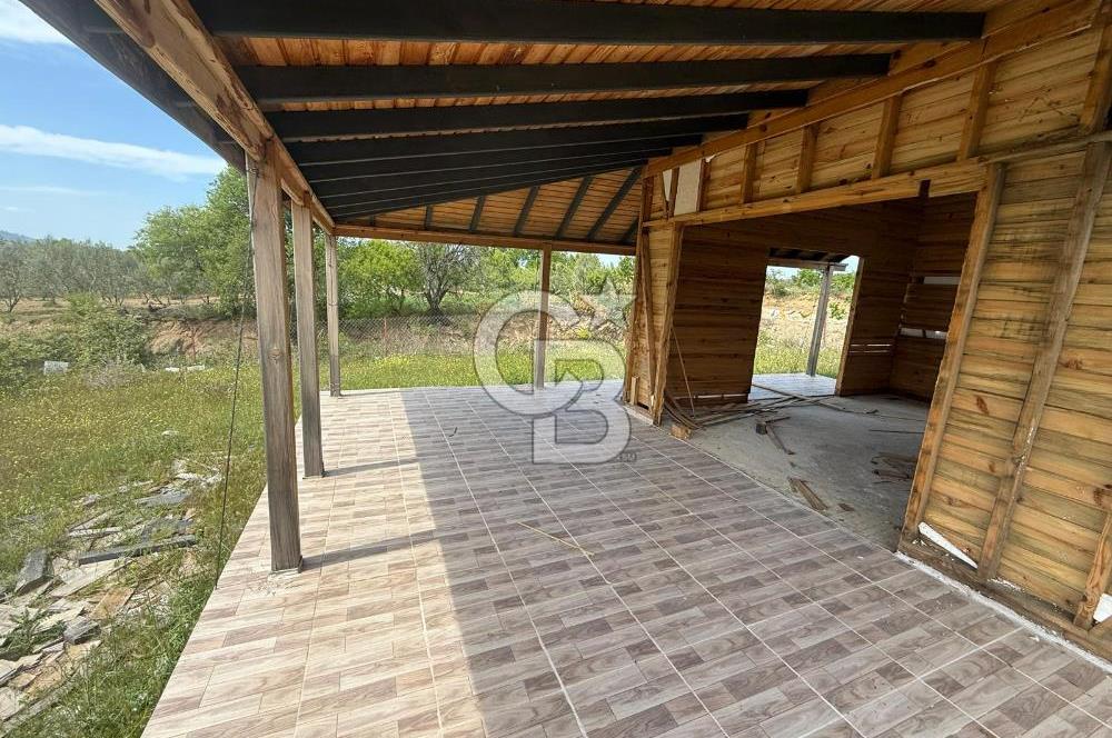 ÇANAKKALE BAYRAMİÇ ÇAVUŞLU KÖYÜNDE FIRSAT TARLA
