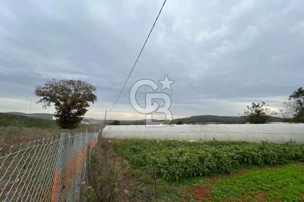 Gebze Cumaköy Satılık 7623 M2 Arazi