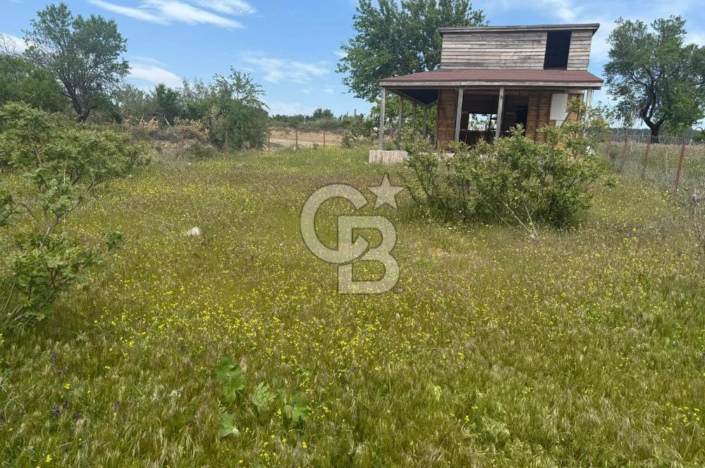 ÇANAKKALE BAYRAMİÇ ÇAVUŞLU KÖYÜNDE FIRSAT TARLA