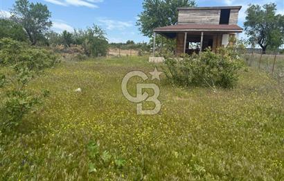 ÇANAKKALE BAYRAMİÇ ÇAVUŞLU KÖYÜNDE FIRSAT TARLA