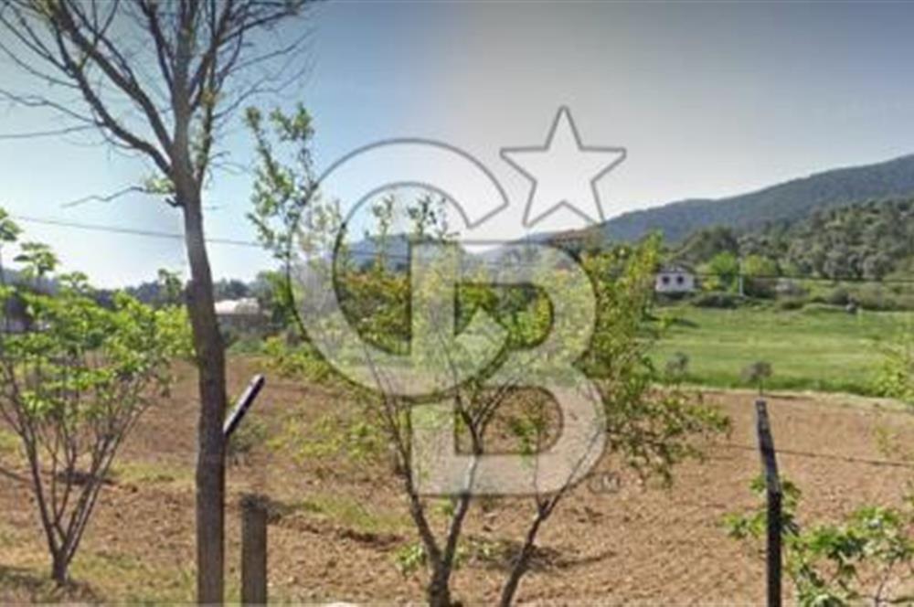 menderes değirmendere köy içerisinde 12,500 M2  23 nisan caddesi yoluna cepheli