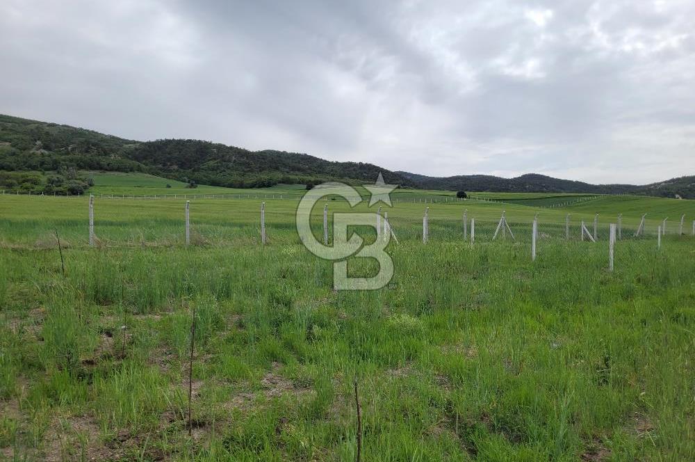Bala Beynam’da Satılık 400 m2 Hisse