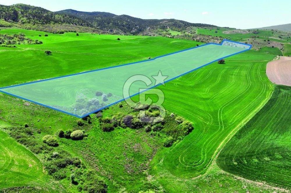 Bala Beynam’da Satılık 400 m2 Hisse