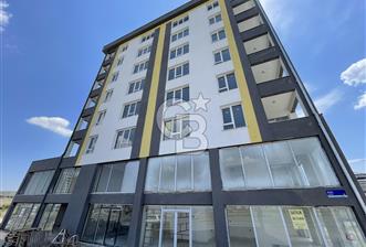 Mimsin Fatih 3+1 daire fırsatı 