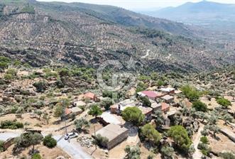 MİLAS ÇAMLIYURT'TA KÖYİÇİN'DE İMARLI KARGIR EV VE ZEYTİNLİK