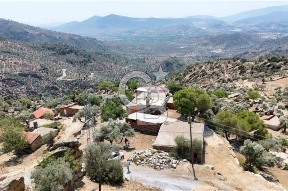 MİLAS ÇAMLIYURT'TA KÖYİÇİN'DE İMARLI KARGIR EV VE ZEYTİNLİK