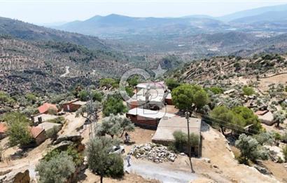MİLAS ÇAMLIYURT'TA KÖYİÇİN'DE İMARLI KARGIR EV VE ZEYTİNLİK