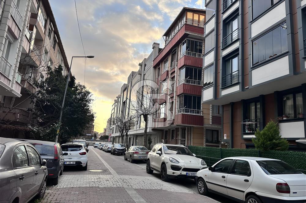 AVCILAR ÜNİVERSİTE MH 2+1 KİRALIK EŞYALI BAHÇE KATI DAİRE
