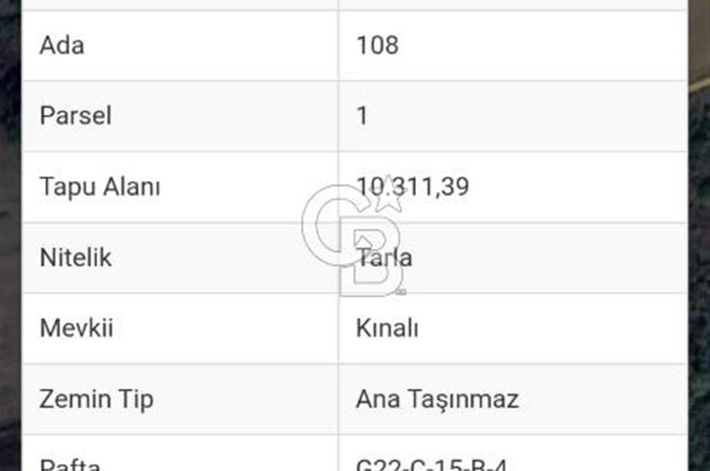 YALOVA ALTINOVA FEVZİYE KÖYÜNDE YATIRIMA UYGUN SATILIK TARLA!