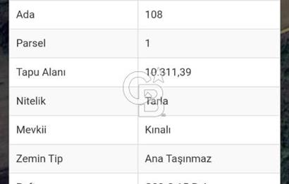YALOVA ALTINOVA FEVZİYE KÖYÜNDE YATIRIMA UYGUN SATILIK TARLA!