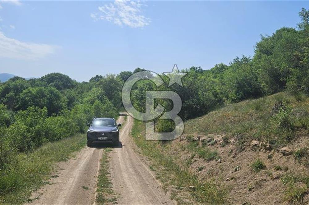 YALOVA ALTINOVA FEVZİYE KÖYÜNDE YATIRIMA UYGUN SATILIK TARLA!