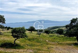 AYVACIK KURUOBA'DA PANORAMİK DENİZ VE MİDİLLİ MANZARALI TARLA !!