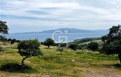 AYVACIK KURUOBA'DA PANORAMİK DENİZ VE MİDİLLİ MANZARALI TARLA !!
