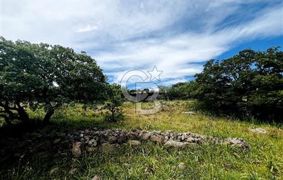 AYVACIK KURUOBA'DA PANORAMİK DENİZ VE MİDİLLİ MANZARALI TARLA !!