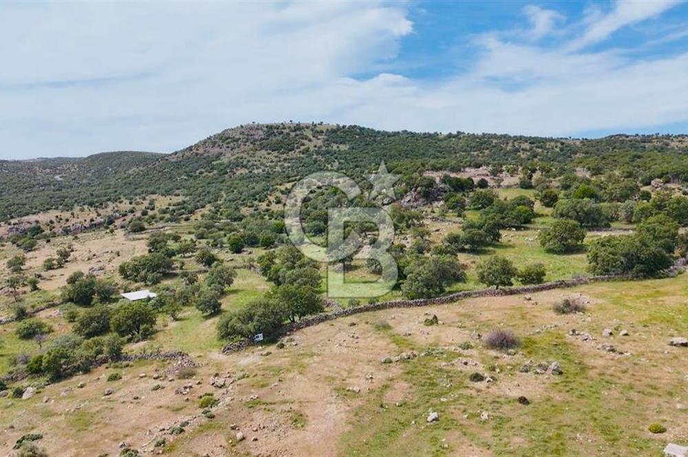 AYVACIK KURUOBA'DA PANORAMİK DENİZ VE MİDİLLİ MANZARALI TARLA !!