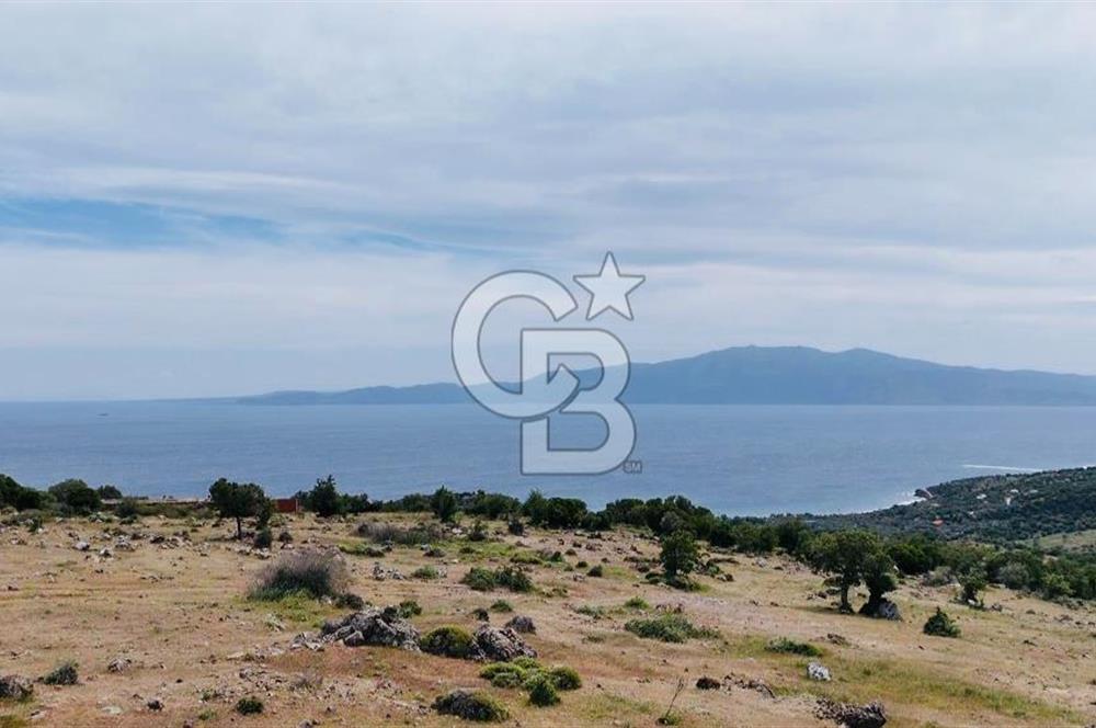AYVACIK KURUOBA'DA PANORAMİK DENİZ VE MİDİLLİ MANZARALI TARLA !!