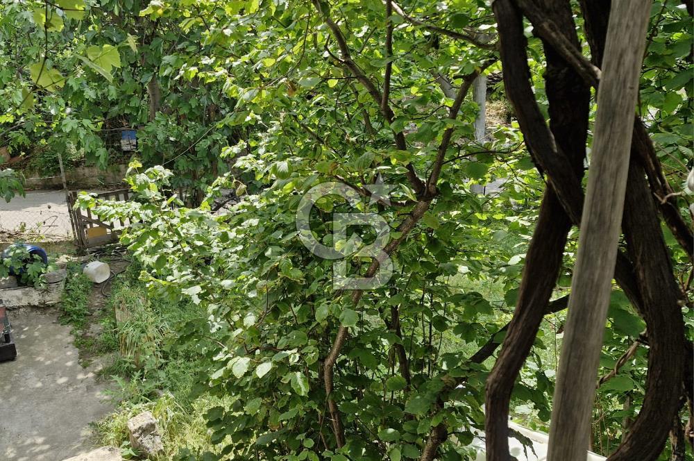 GEBZE YAVUZ SELİM 2+1 KİRALIK MÜSTAKİL EV