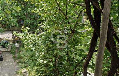GEBZE YAVUZ SELİM 2+1 KİRALIK MÜSTAKİL EV
