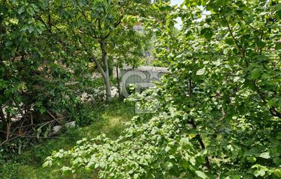 GEBZE YAVUZ SELİM 2+1 KİRALIK MÜSTAKİL EV