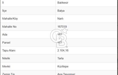 BALIKESİR BALYA NARLI DA SATILIK GÖLET KARŞISI HOBİ BAHÇESİ