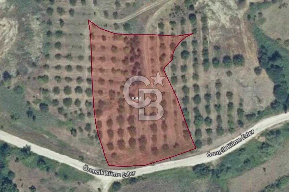 ÇANAKKALE YENİCEDE SATILIK TARLA