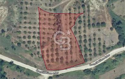 ÇANAKKALE YENİCEDE SATILIK TARLA