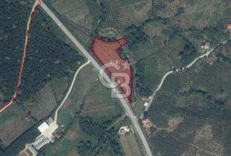 CB PARK'TAN SALIPAZARI KOCALAR'DA ANA YOLA CEPHE FIRSAT ARAZİ