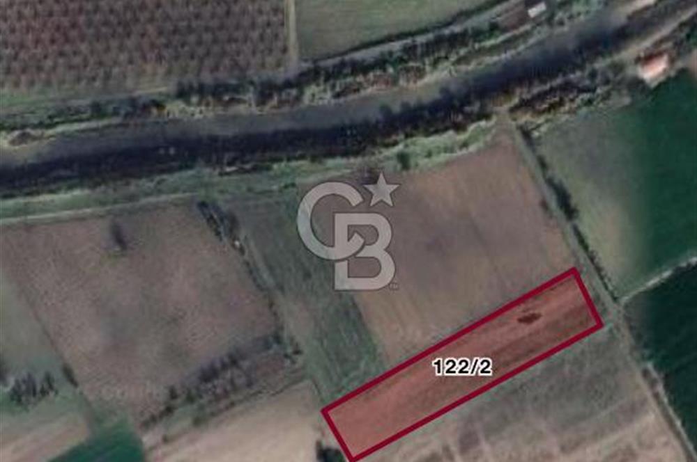 İZMİR KINIK SUCAHLI DA 4655 M2 SATILIK YATIRIMLIK FIRSAT TARLA