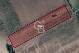 İZMİR KINIK SUCAHLI DA 4655 M2 SATILIK YATIRIMLIK FIRSAT TARLA