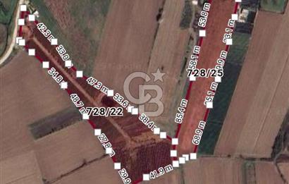 SAKARYA ARİFİYE ARİFBEY MAHALLESİ PEYZAJ BİTKİSİ ÜRETİMİNE UYGUN