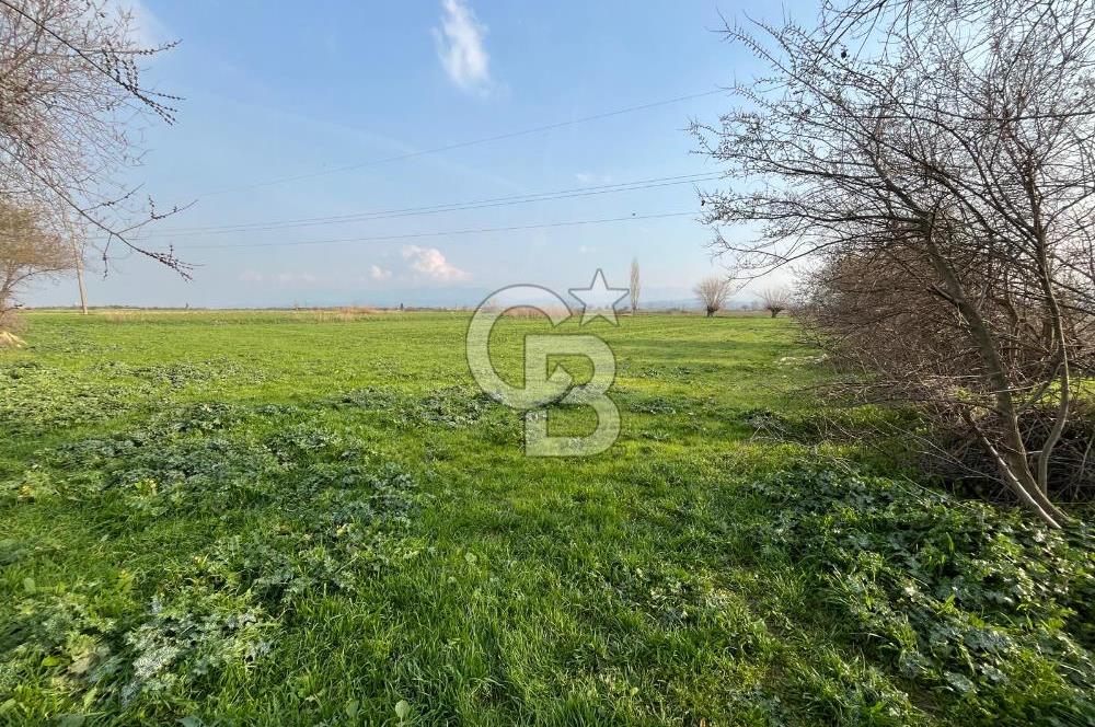 BAYINDIR HAVUZBAŞI NDA SATILIK 8926 M2 TARLA