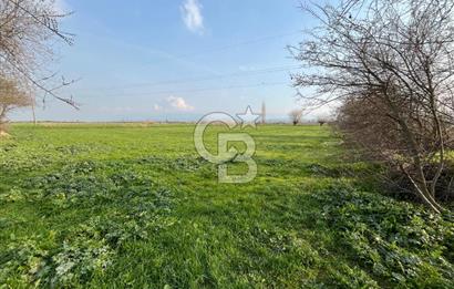 BAYINDIR HAVUZBAŞI NDA SATILIK 8926 M2 TARLA