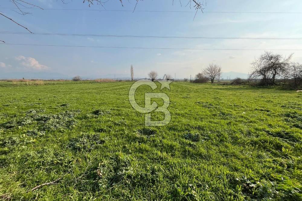 BAYINDIR HAVUZBAŞI NDA SATILIK 8926 M2 TARLA