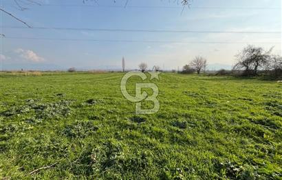 BAYINDIR HAVUZBAŞI NDA SATILIK 8926 M2 TARLA