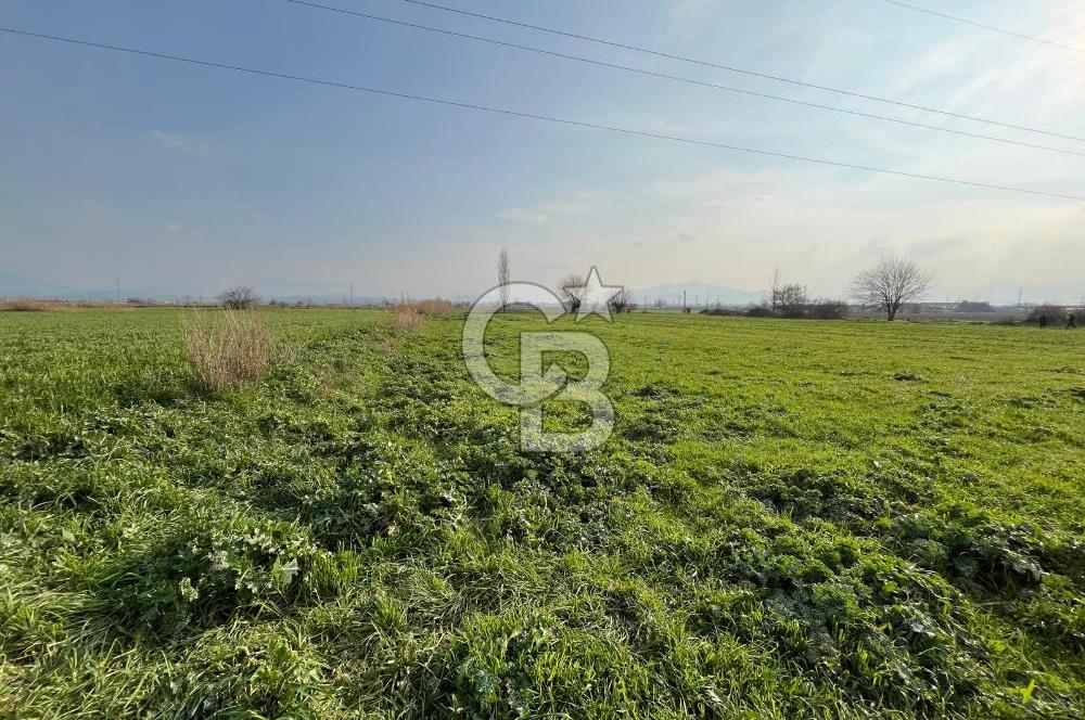 BAYINDIR HAVUZBAŞI NDA SATILIK 8926 M2 TARLA