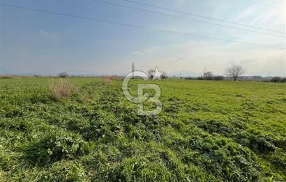 BAYINDIR HAVUZBAŞI NDA SATILIK 8926 M2 TARLA