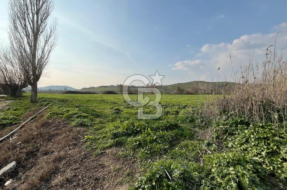 BAYINDIR HAVUZBAŞI NDA SATILIK 8926 M2 TARLA