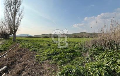 BAYINDIR HAVUZBAŞI NDA SATILIK 8926 M2 TARLA
