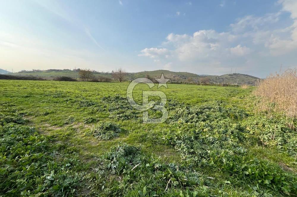 BAYINDIR HAVUZBAŞI NDA SATILIK 8926 M2 TARLA