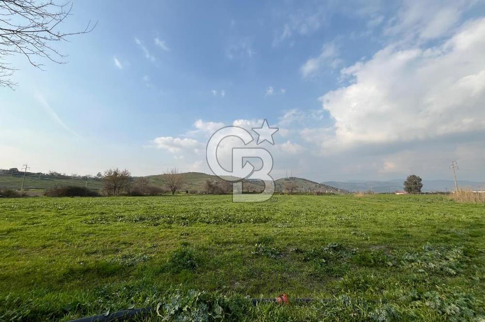 BAYINDIR HAVUZBAŞI NDA SATILIK 8926 M2 TARLA