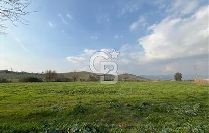 BAYINDIR HAVUZBAŞI NDA SATILIK 8926 M2 TARLA