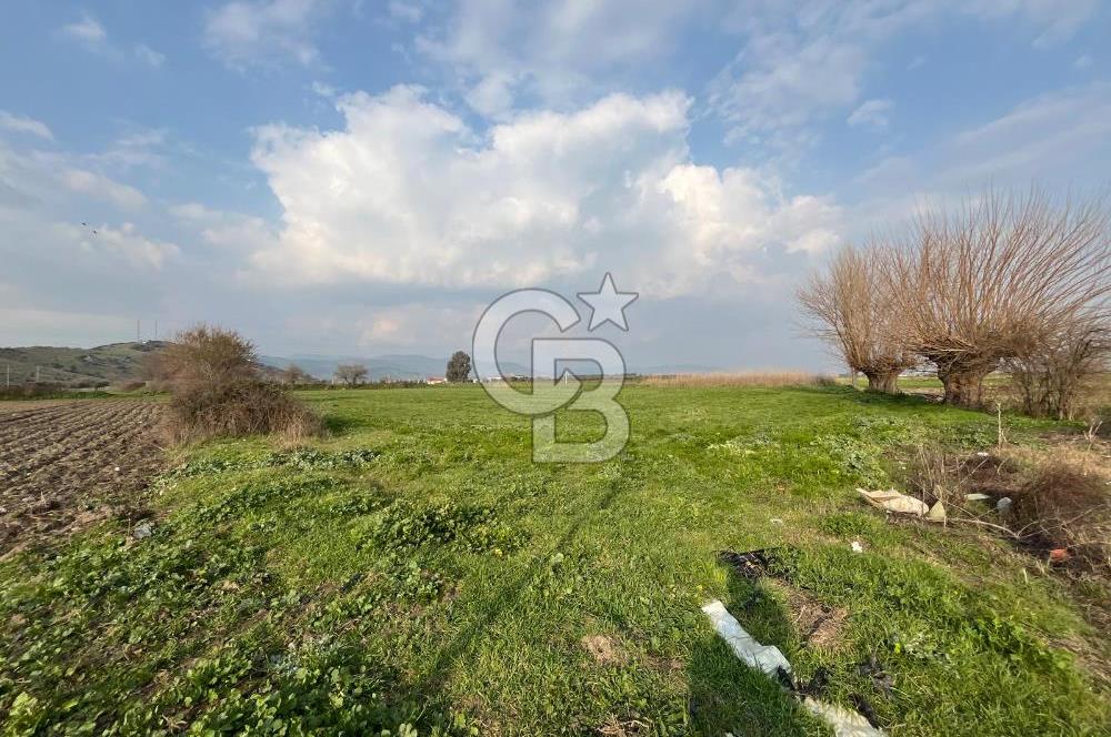 BAYINDIR HAVUZBAŞI NDA SATILIK 8926 M2 TARLA